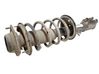 Amortiguador delantero con muelle espiral 546601C600