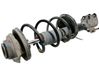 Front shock absorber with coil spring 4160286G50