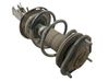 Amortiguador delantero con muelle espiral 4851002380