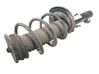 Front shock absorber with coil spring 31277025