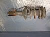 Amortiguador delantero con muelle espiral 20311PA050