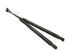 Tailgate/trunk strut/damper 1434296