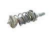 Front shock absorber with coil spring G16309
