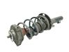 Front shock absorber with coil spring 