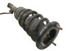 Amortiguador delantero con muelle espiral MR992321