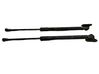 Tailgate/trunk strut/damper 4039180395N