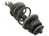 Amortiguador delantero con muelle espiral 543021807R