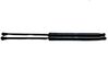 Tailgate/trunk strut/damper 689500H040