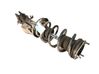 Front shock absorber with coil spring EY1618045FA