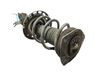 Front shock absorber with coil spring 543028098R