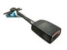Front seatbelt 246900A