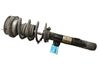 Front shock absorber with coil spring 31316768919