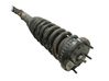 Front shock absorber with coil spring C2Z5529