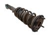 Amortiguador delantero con muelle espiral 4851080359