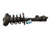 Front shock absorber with coil spring A2123236800