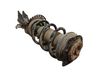 Amortiguador delantero con muelle espiral 543020503R
