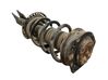 Amortiguador delantero con muelle espiral 543020503R