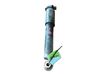 Front shock absorber with coil spring 5801771684