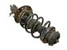 Amortiguador delantero con muelle espiral 543021244R