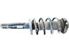 Amortiguador delantero con muelle espiral 1T0413031DN