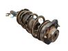 Amortiguador delantero con muelle espiral 5208L2