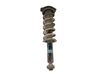 Rear shock absorber/damper 20365AL030
