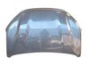 Motorhaube 