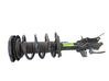 Front shock absorber with coil spring 2429469