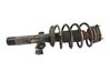 Front shock absorber with coil spring 1305642