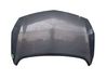Motorhaube 1160014