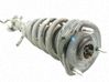 Front shock absorber with coil spring GS1D34900D