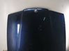 Engine bonnet/hood 