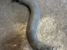 Intercooler hose/pipe 4F0145737E