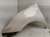 Aleta delantera 