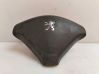 Airbag de la puerta delantera 96821872ZR