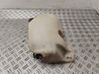 Windshield washer fluid reservoir/tank 9647190180