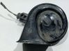 Horn signal 