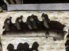 Intake manifold 