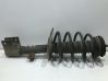Front shock absorber/damper 