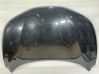 Motorhaube F51004EAMA