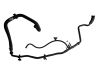 Caurulīte (-es) / šļūtene (-es) 7785449