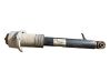 Stoßdämpfer hinten 6783017
