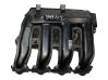 Intake manifold 7795393