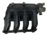 Intake manifold 7787319