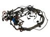 Engine installation wiring loom 7795356
