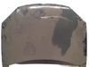 Motorhaube 