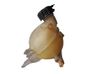 Coolant expansion tank/reservoir 
