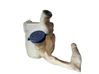 Windshield washer fluid reservoir/tank 