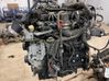 Engine 36050391