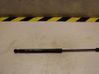 Tailgate strut 817701W200